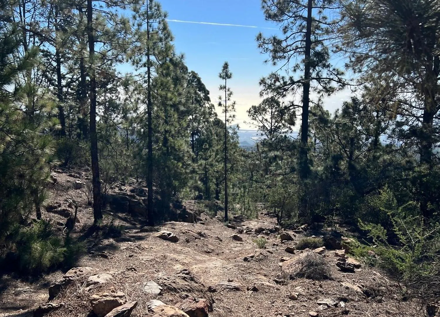 Casa Vacacional Bevi - Tenerife Norte لوس رياليخوس بيت للعطل